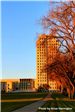 Trees and the ND Capitol Building in front of a blue sky. 