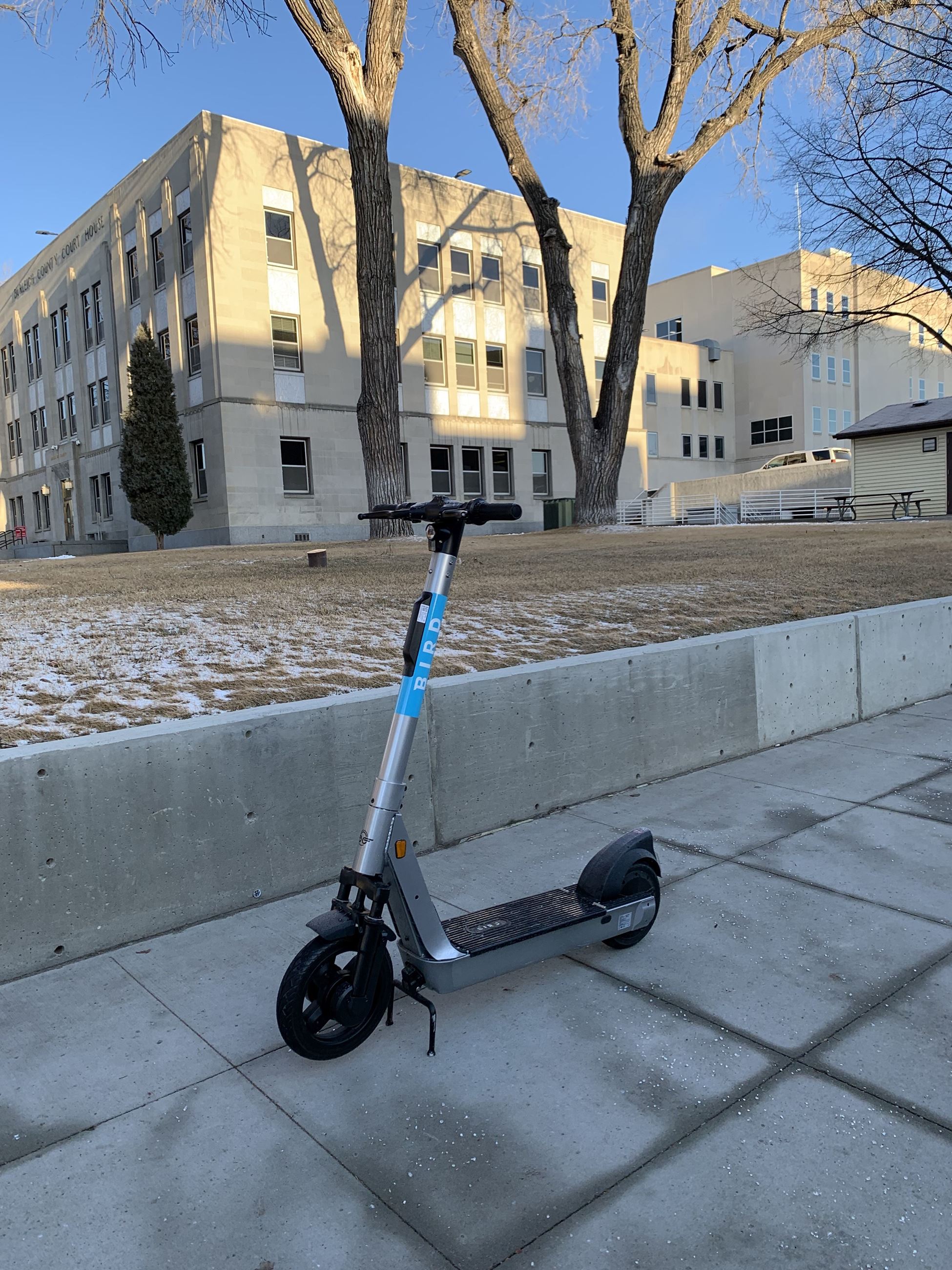 Bird Scooter 2022