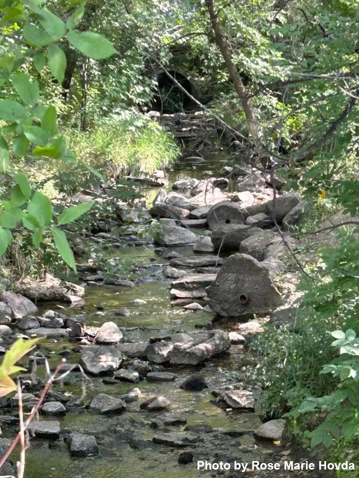 Stream by Rose Marie Hovda