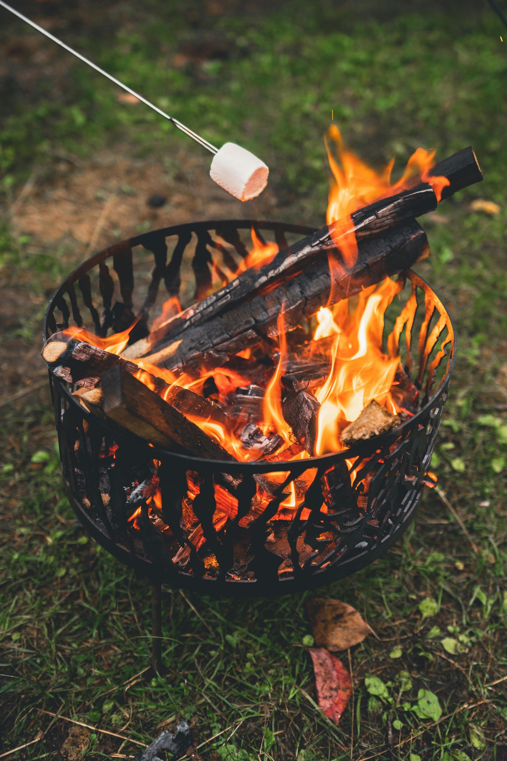 fire pit with roasting marshmallow