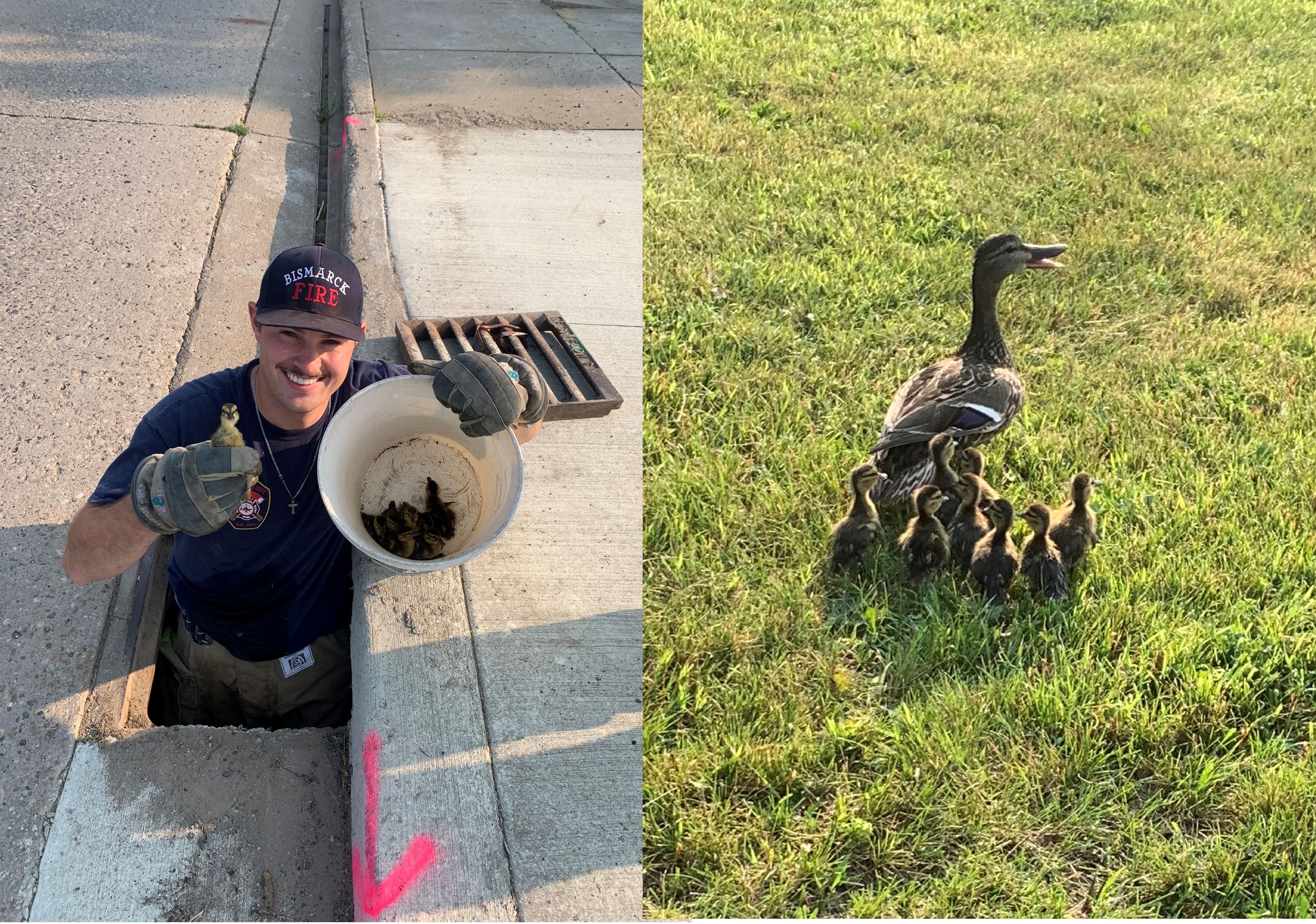 BFD Duck Rescue